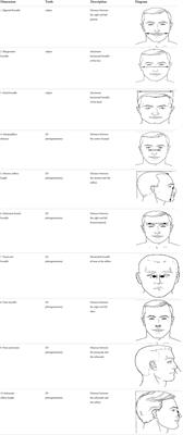 Head and face anthropometric study for respirators in the multi-ethnic Asian population of Malaysia